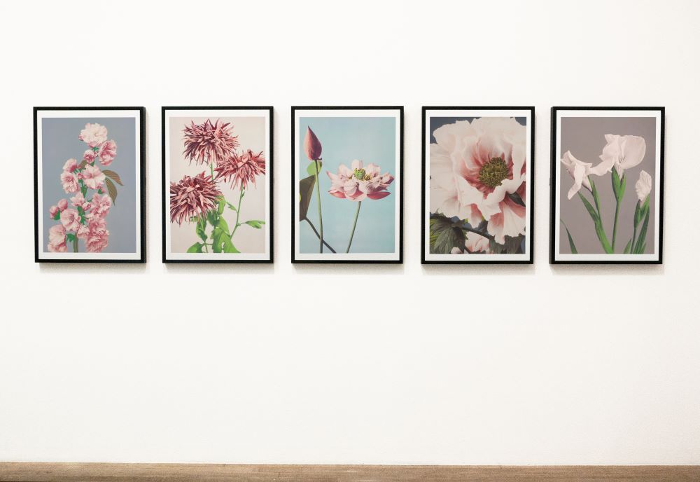 a wall with pictures of flowers