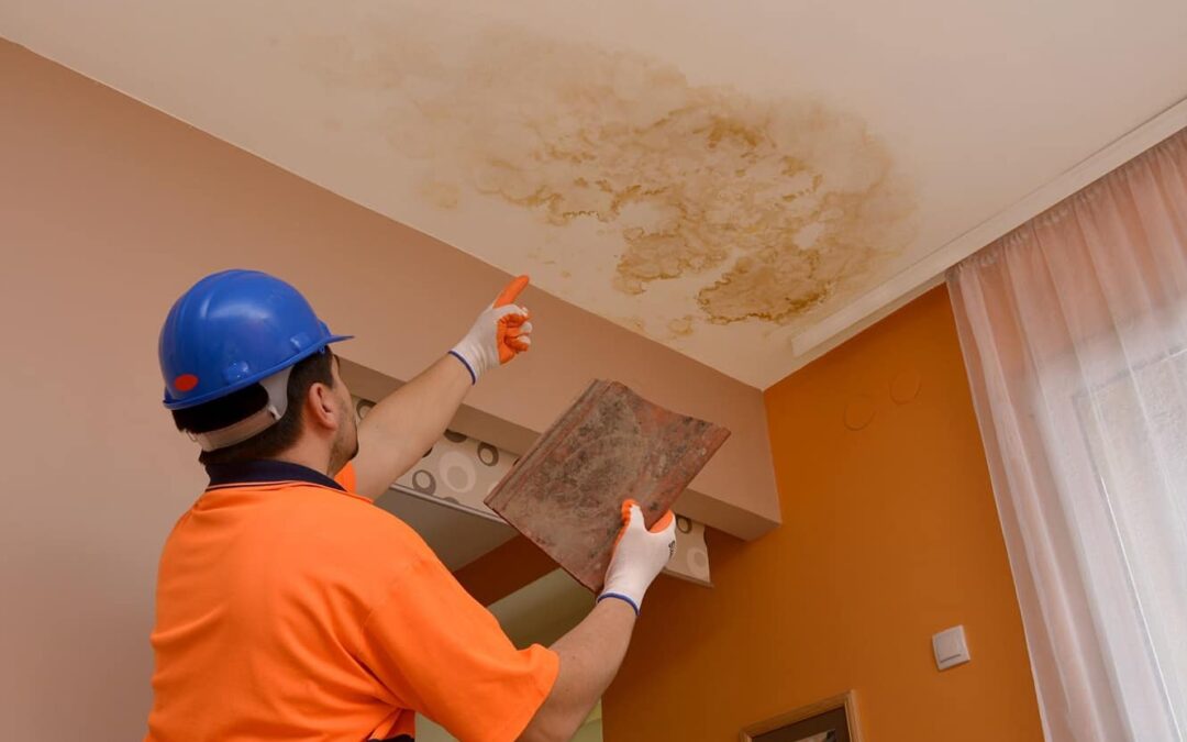 How To Find The Best Water Damage Restoration Company