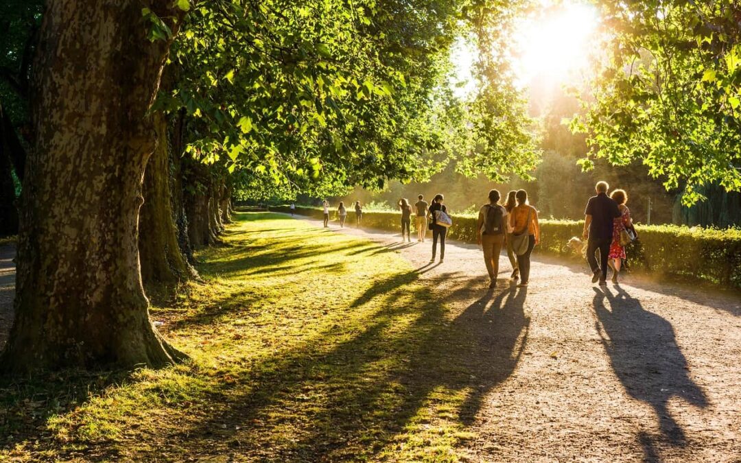 What To Look For In A Neighborhood When Finding Your Dream Home