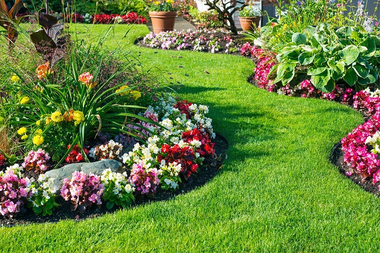 From Blueprint To Blooms: Landscaping Your New Build