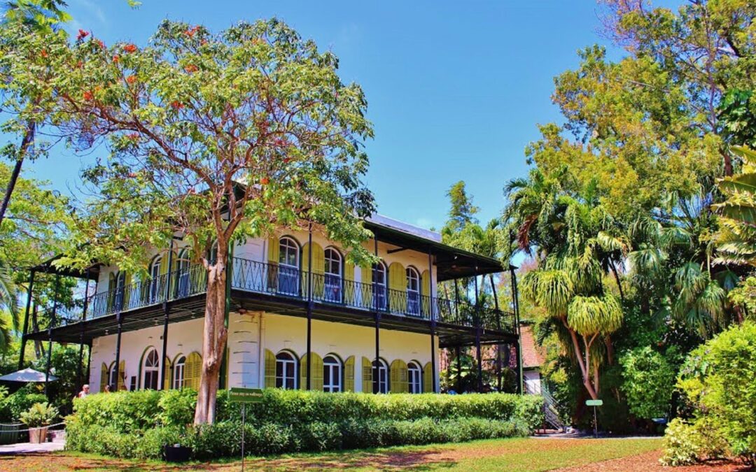 Trees and Real Estate: How Proper Landscaping Can Increase Home Value