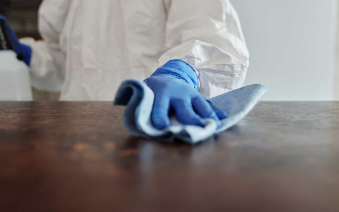 Cleaning Services in Melbourne: A Price Guide