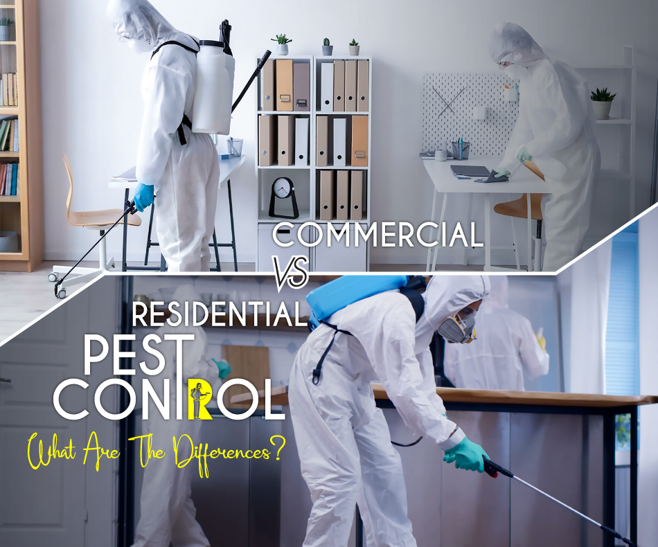 Commercial-vs-Residential-Pest-Control—What-Are-The-Differences