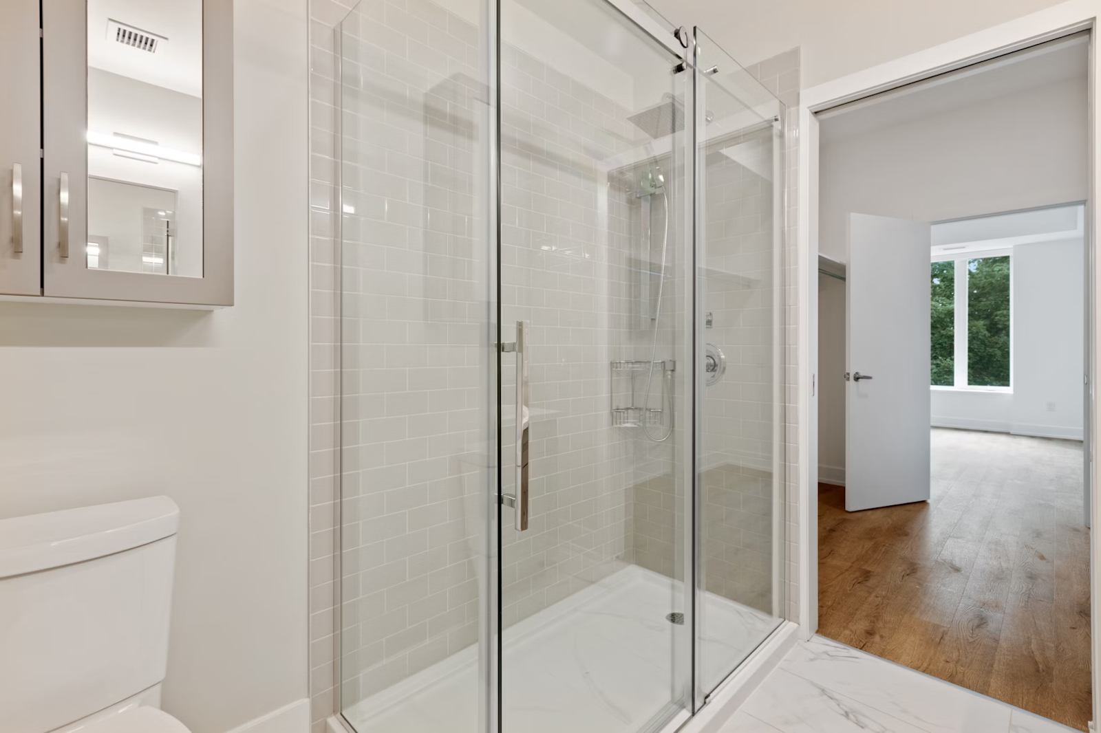 Glass Shower Door
