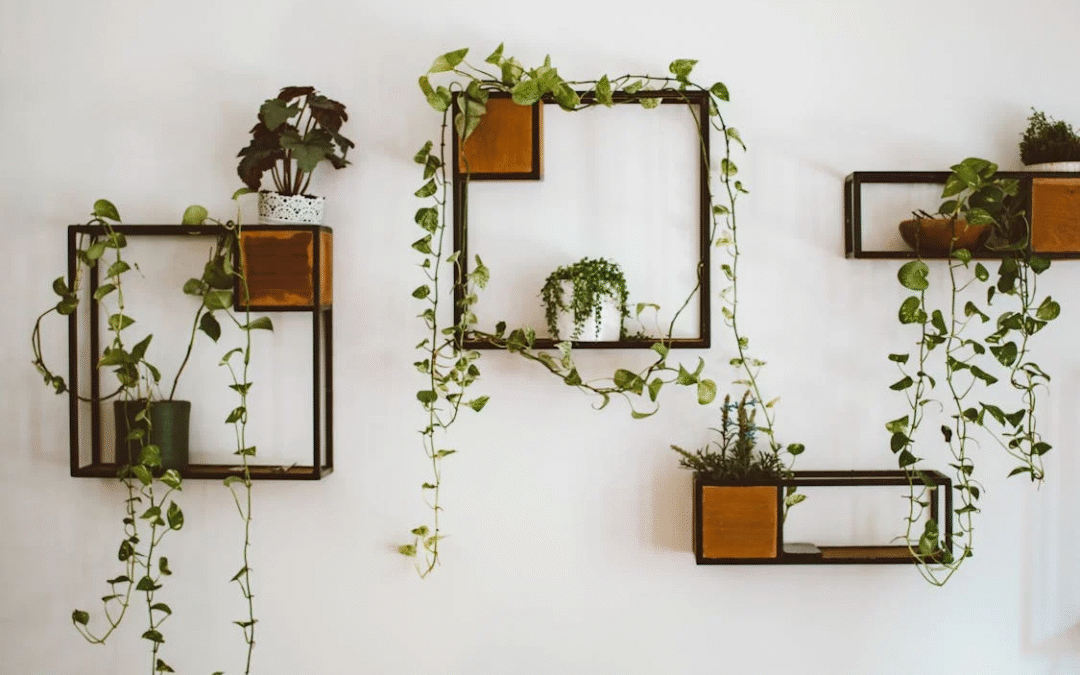 Lighting Matters: Transform Your Home with the Right Illumination