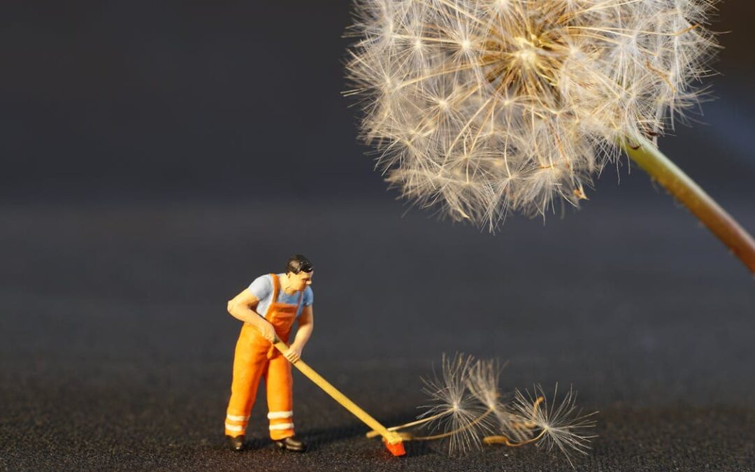 Sell Your Nashville House As-Is with No Cleaning Needed