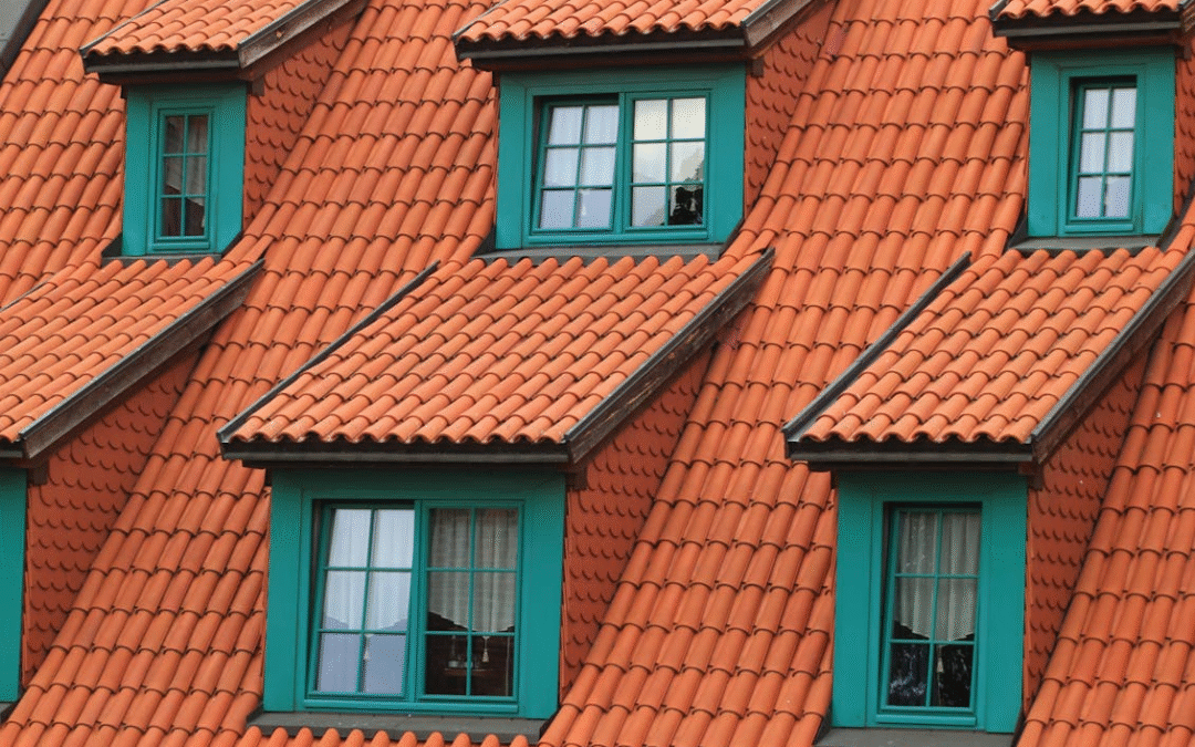 5 Things to Look Out for When Inspecting Your Roof