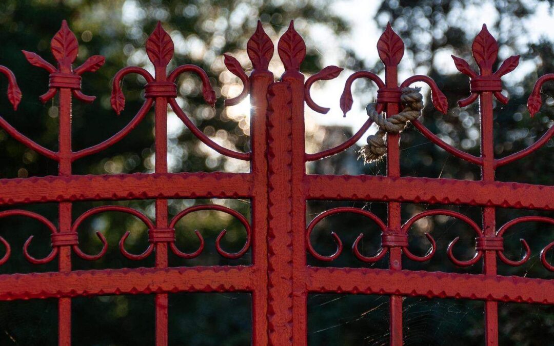 Tips from the Pros on Choosing Between a Metal or a Wooden Fence