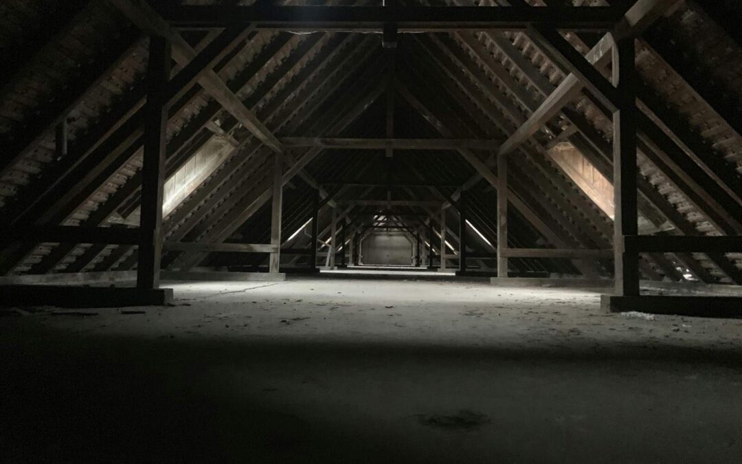 Transform Your Home: The Benefits of Attic Cleaning Services