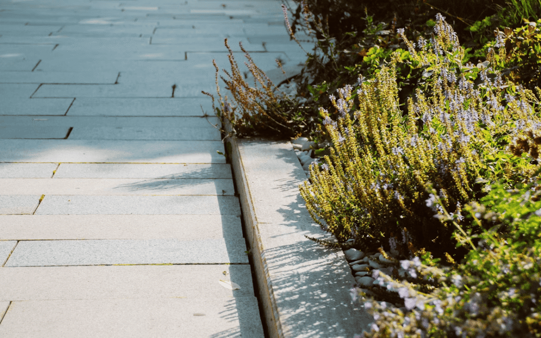 Tips for Effective Care and Maintenance of Residential Hardscapes