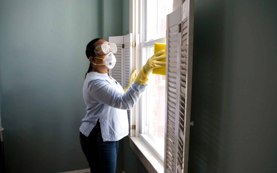 Why Clean Windows Matter More Than You Think