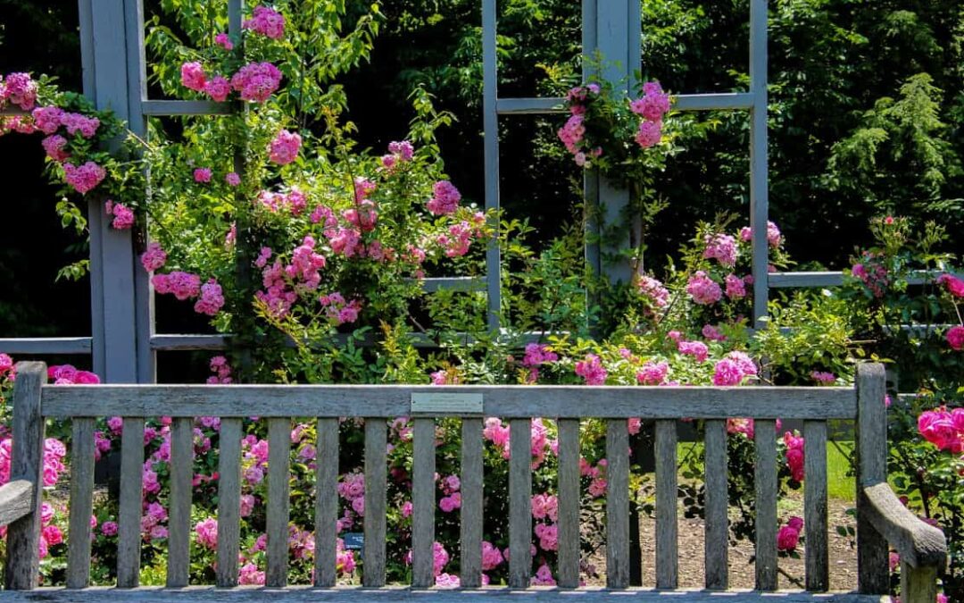 Top 7 Landscape Design Trends for Edmonton Homeowners in 2025