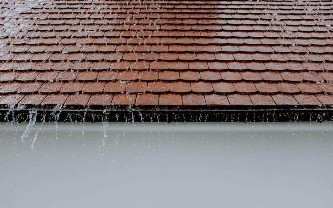 The Lifecycle of a Roof: From First Shingle to Final Repair