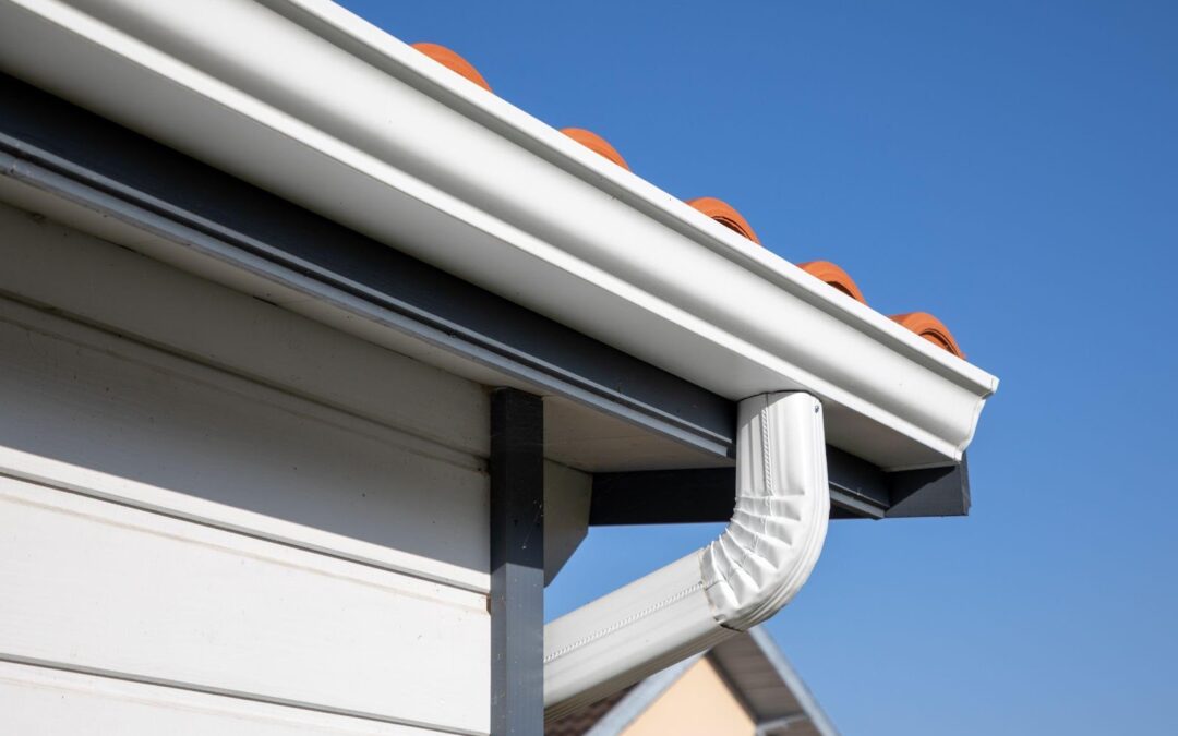 Gutter Cleaning 101 – How Often Should You Clean Your Gutters & Why It Matters