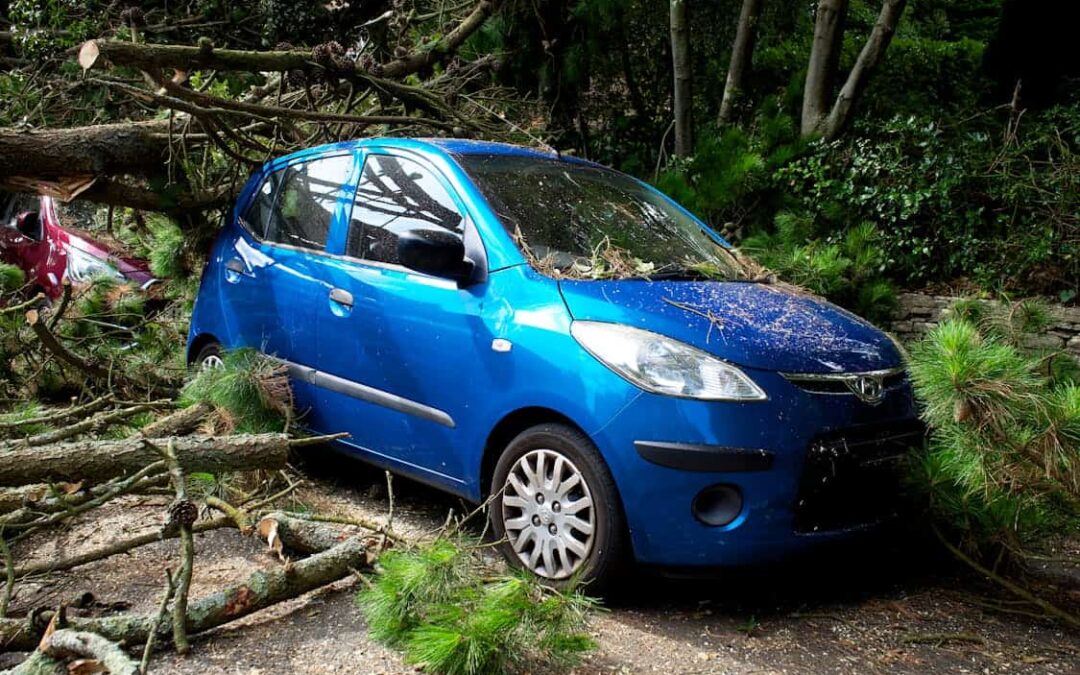 Sell Storm-Damaged Property Fast With Cash Buyer Offer