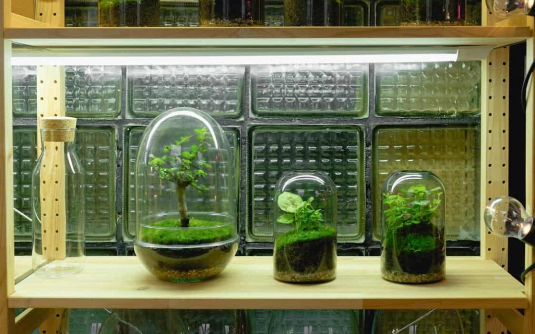 How to Add a Touch of Nature to Contemporary Interiors