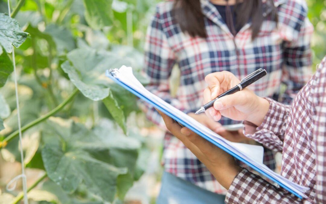 Greenhouse Varieties for Your Home Garden: Which One is Right for You?