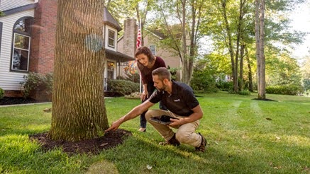 Seasonal Tree Care Checklist for Lancaster Residents | New Findthehomepros