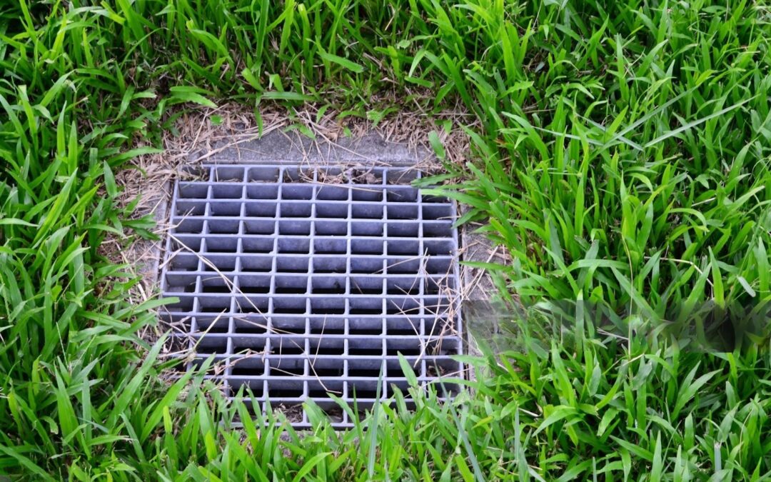 Choosing the Right Drainage Solution for Your Backyard