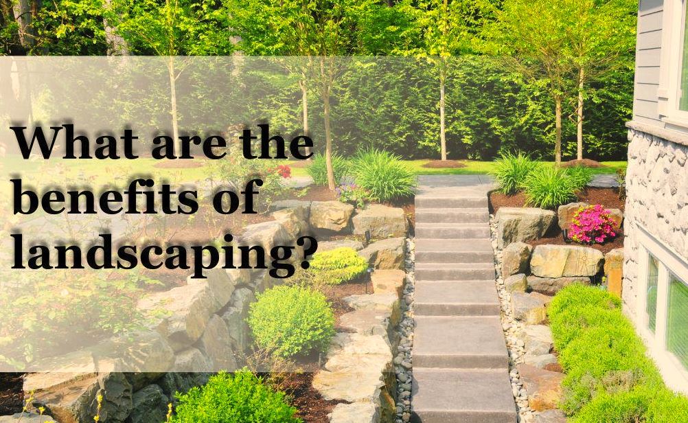 What are the benefits of landscaping?