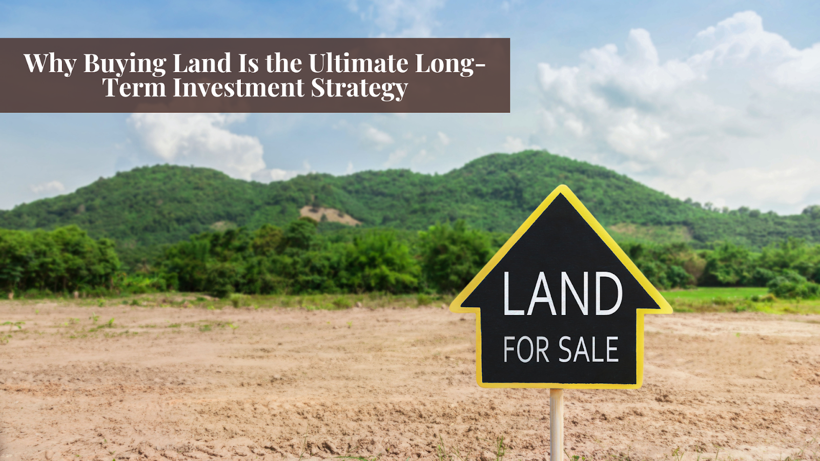 Why buying land is the ultimate long term investment
