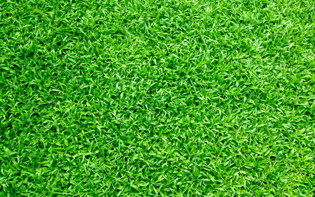 The Benefits of Installing Artificial Grass in Your Home