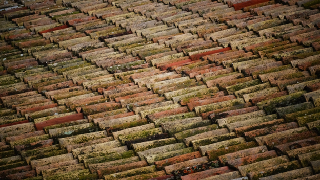 clay tile roof with algae and moss growing