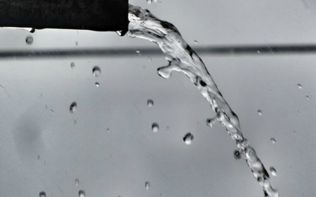 Efficient Water Drainage Solutions for Rainwater Harvesting Systems