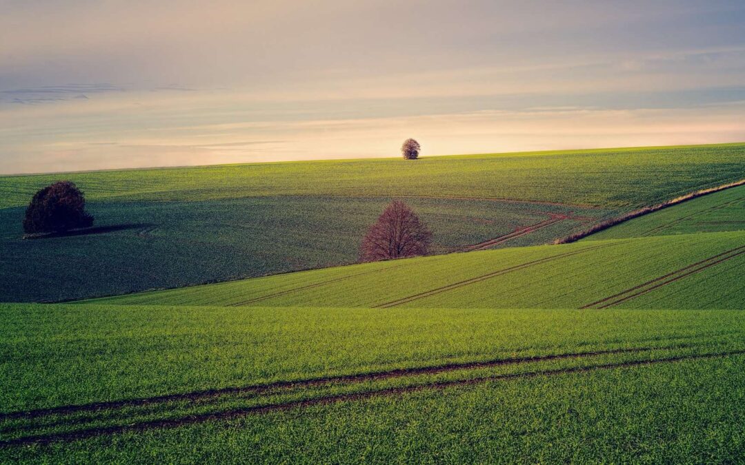 Things to Consider When Selling Land for the First Time