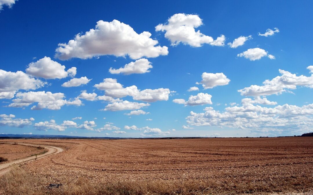 A Guide to Selling Land Directly to Land Buyers: Tips and Strategies