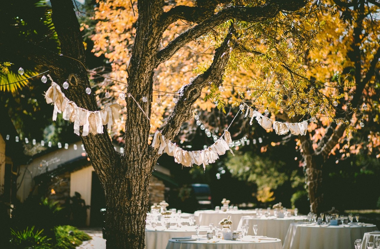 backyard dining table under tree with string lights and place settings