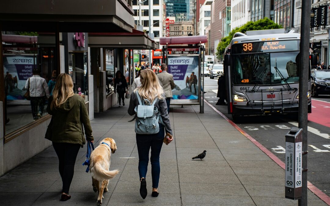 Create an Outdoor Oasis with Your Sidewalk
