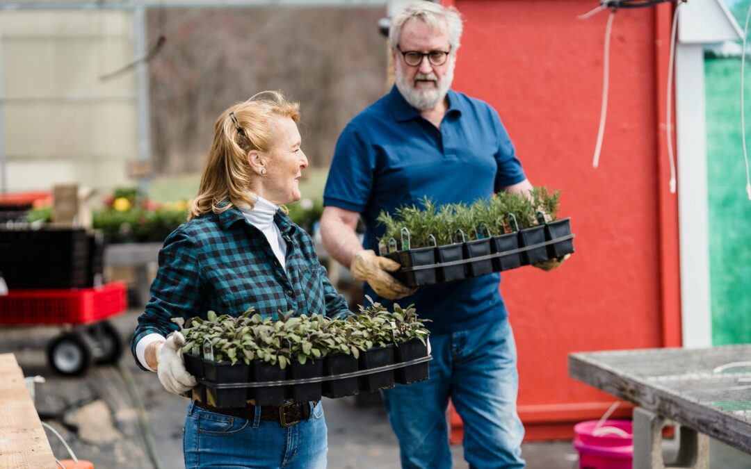 From Drilling to Planting: Streamline Your Gardening Process