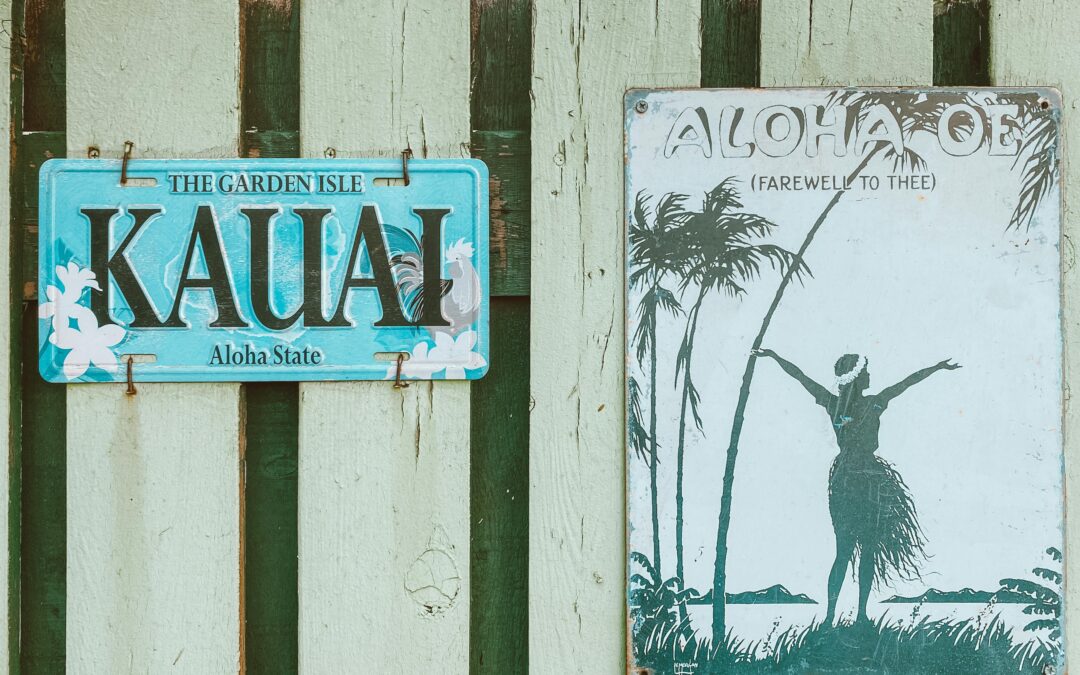 Hurricane-Proof Fencing Options for Hawaii Residents