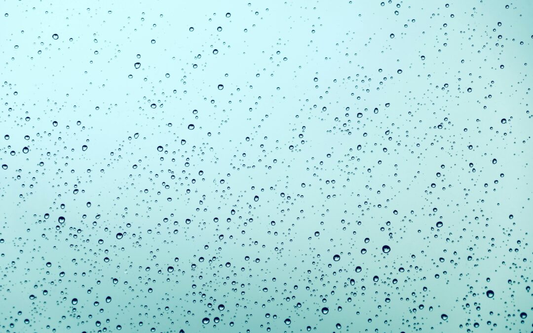 Is your home waterproof or toxic? Understanding PFAS in construction products