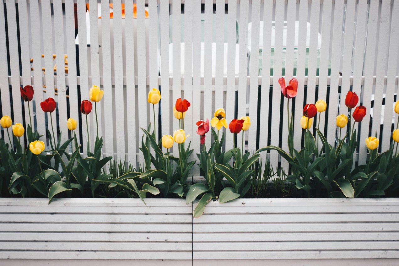 white fence with flowers planted in front
