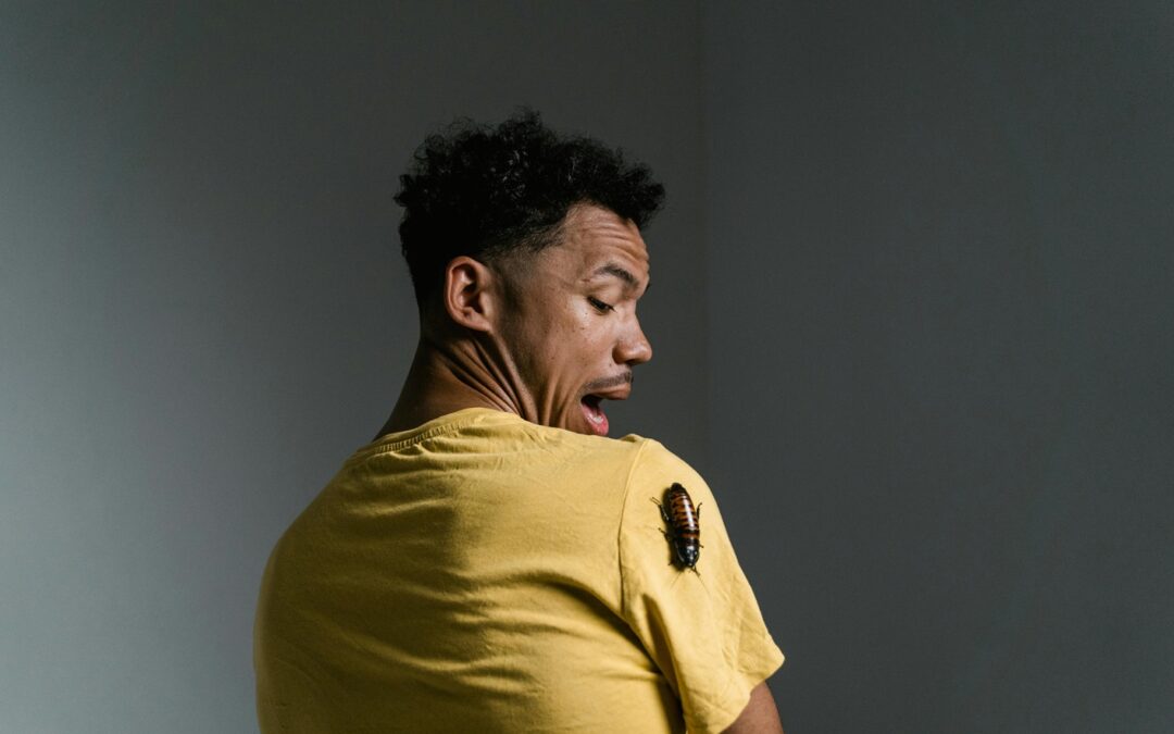 Seasonal Pest Control: A Comprehensive Guide to Keeping Your Home Bug-Free