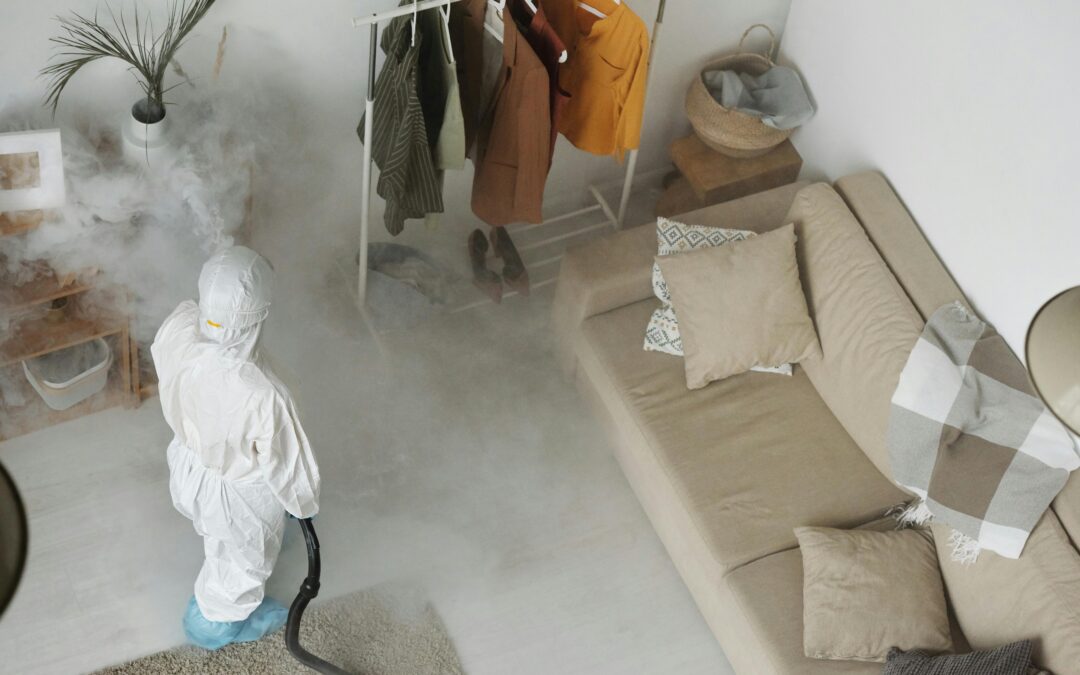 Understanding Pest Control Services: What to Expect and How They Work