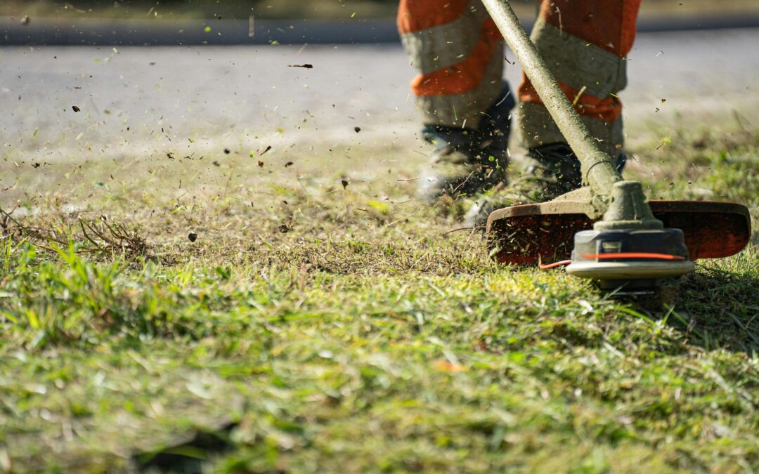 Transform Your Outdoor Space with Expert Landscaping