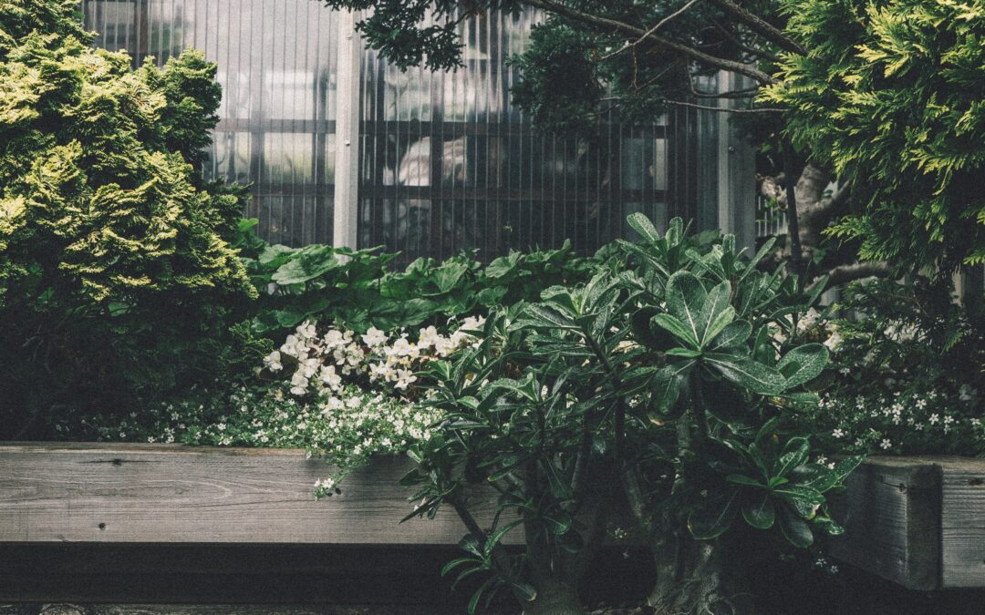 Garden design trends you should try this year