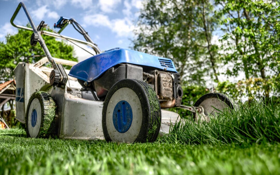 What Innovations Are Transforming the Future of Lawn Care?