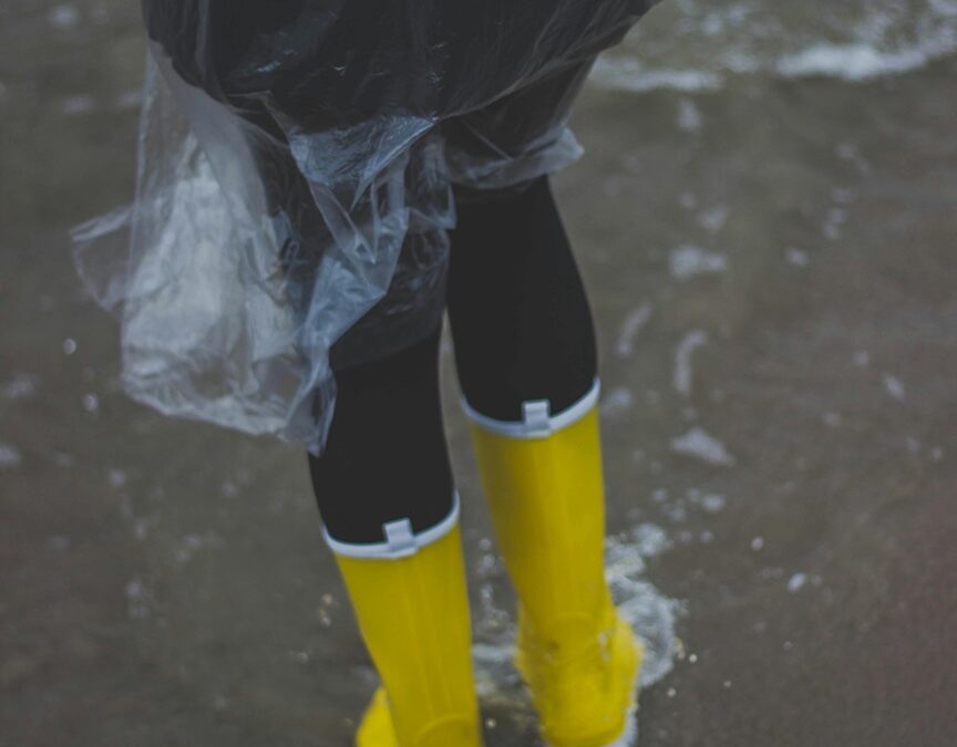 The Importance of Hiring a Water Restoration Service for Mold Control in Dallas