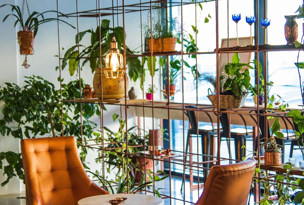 Trends in Home Décor for 2024: Embracing Nature, Color, and Personal Expression