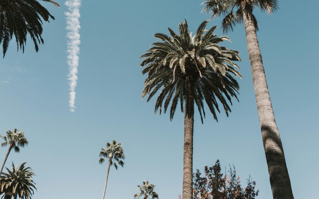 Challenges and Rewards of Building Multi-Family Homes in Los Angeles