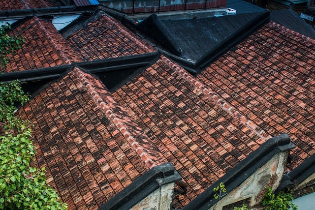 Roof Safety for Homeowners: Essential Tips for Inspections and Minor Repairs