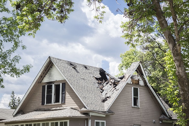 Decoding Roof Damage: When to Seek Professional Repair Assistance