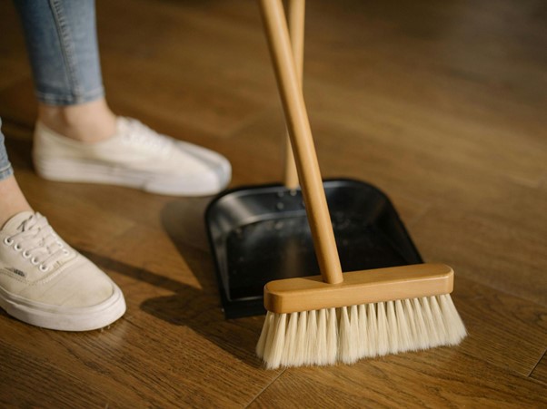 9 Ways to Keep Your Apartment Clean and Pest-Free