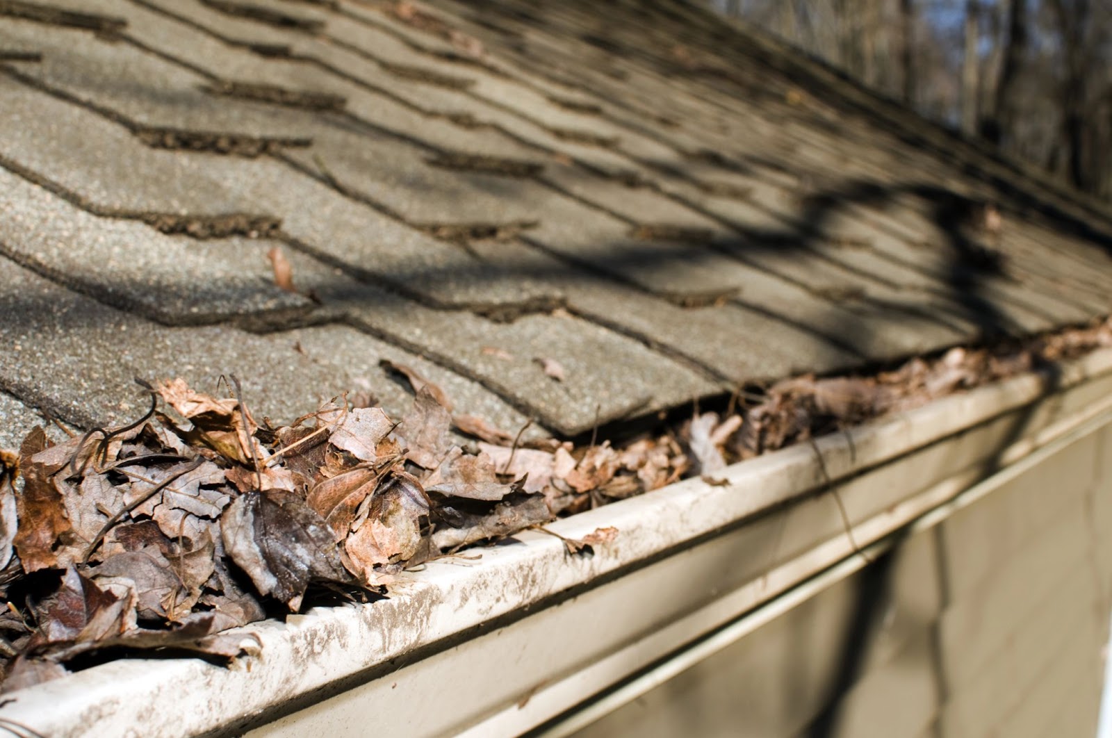 gutterwleaves gutters in need of cleaning and upkeep