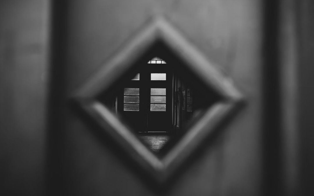 Pros & Cons of Frameless Door Design