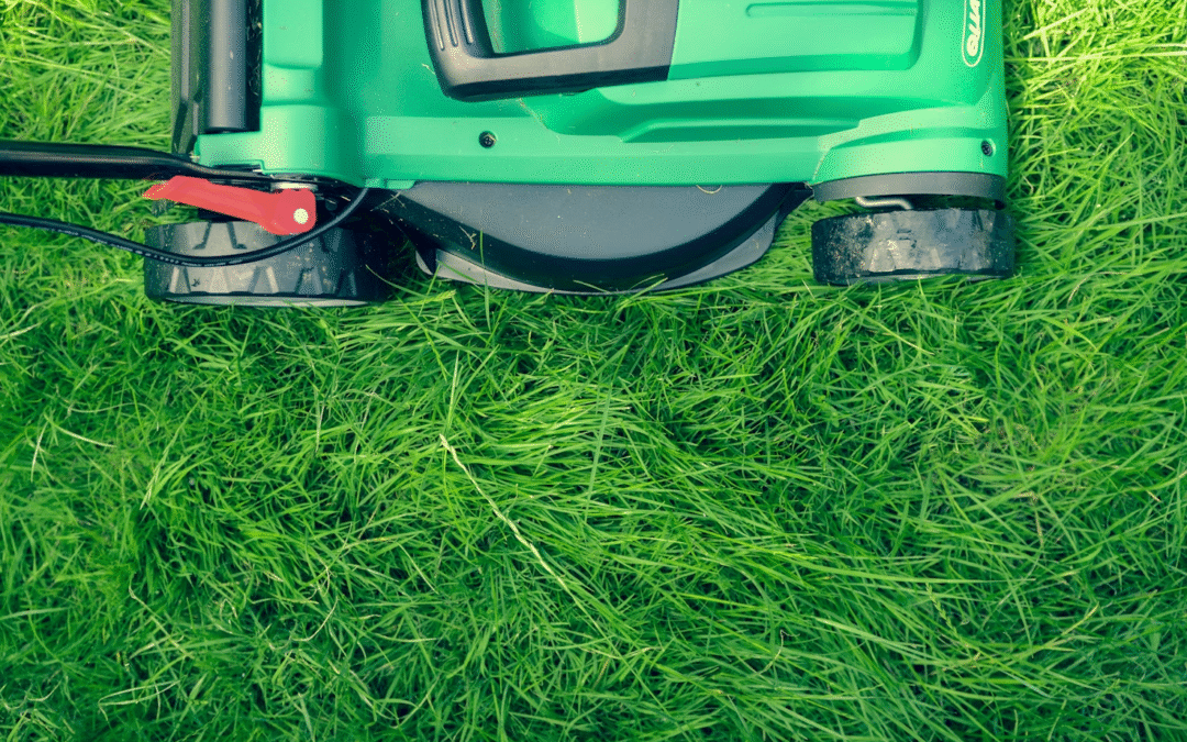 The Hidden Benefits of Professional Lawn Care Services for Homeowners